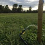 Ag Watering System